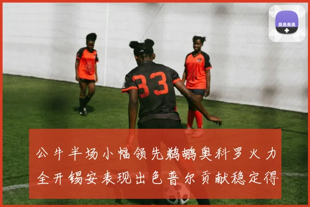 公牛半场小幅领先鹈鹕奥科罗火力全开锡安表现出色普尔贡献稳定得分