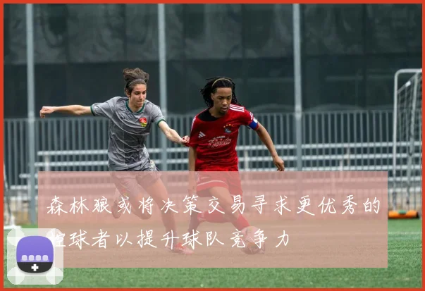 森林狼或将决策交易寻求更优秀的控球者以提升球队竞争力